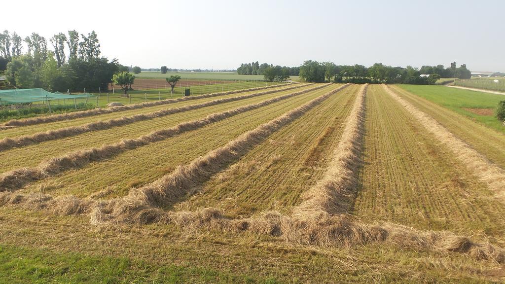 Povoletto Agriturismo Domus Magna מראה חיצוני תמונה